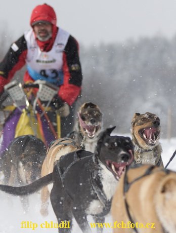 Tri studne zima 2009 - 1081.jpg